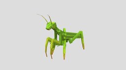 icon.jpg