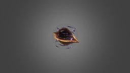 icon.jpg