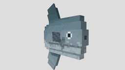 icon.jpg