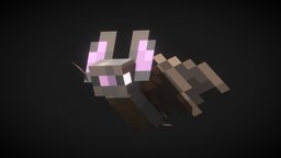 icon.jpg