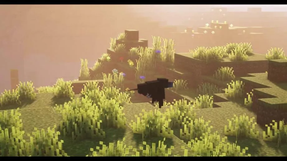 Ninja_Moment-1024x576-922x.png