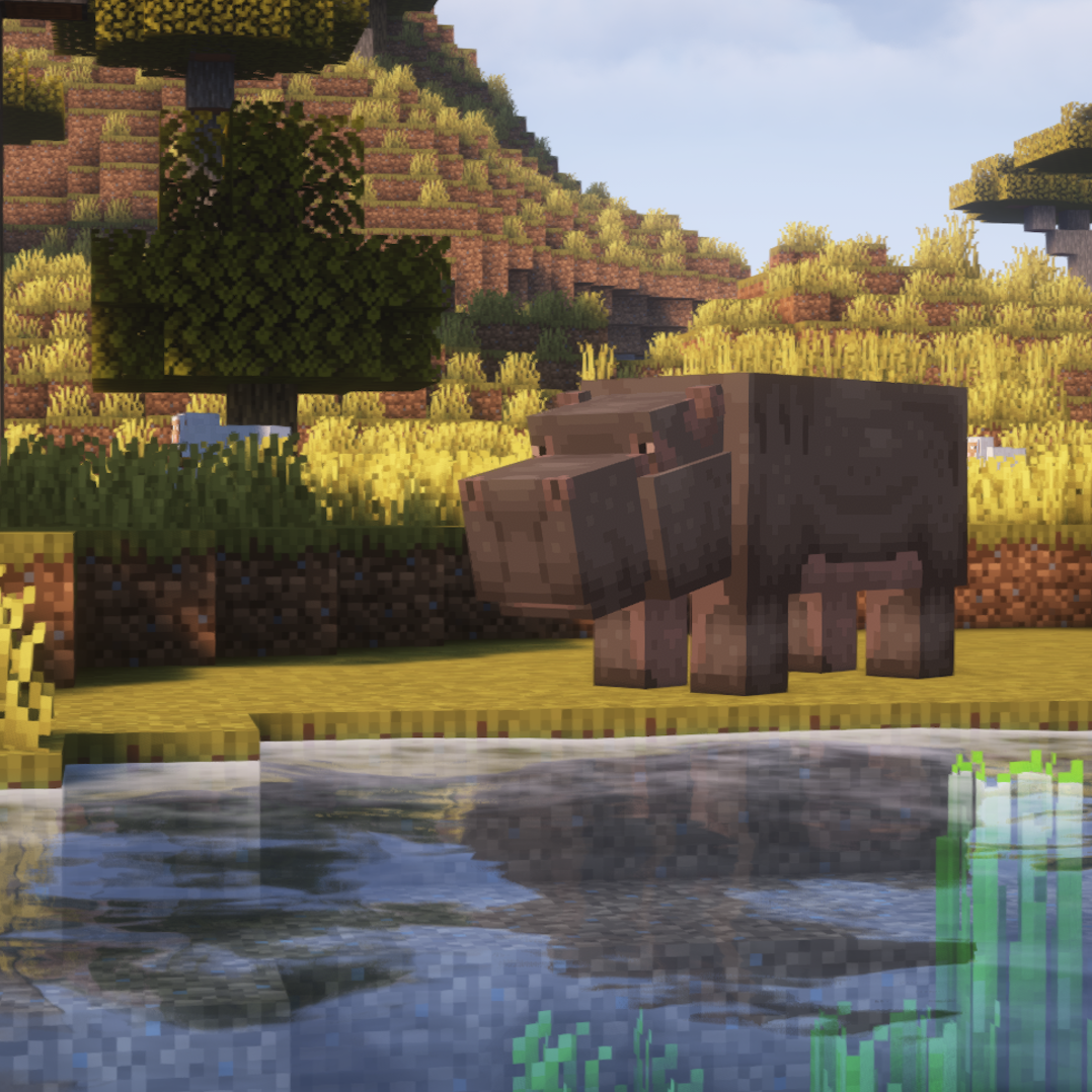 nm_hippos_1.png