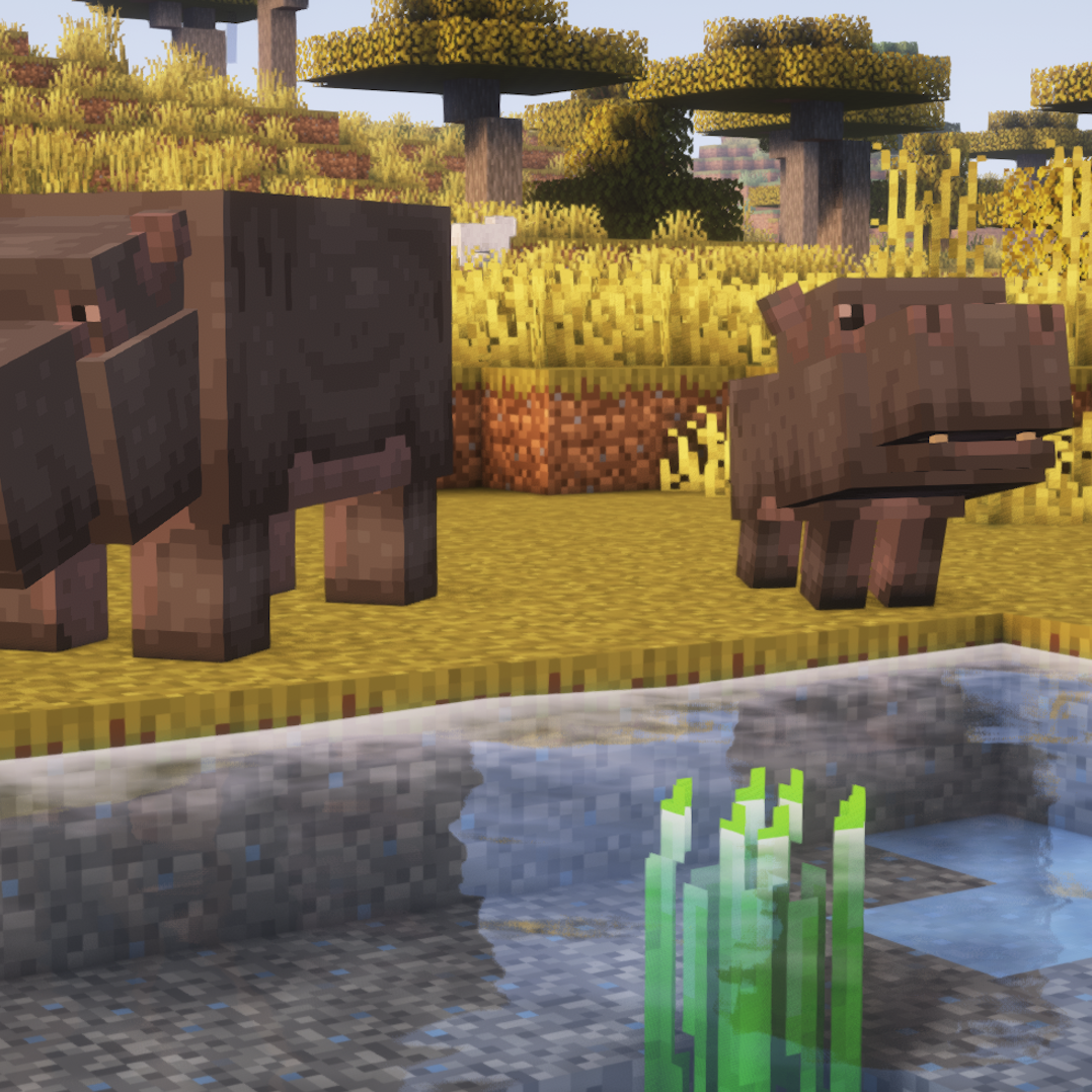 nm_hippos_2.png