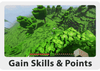 skills.gif