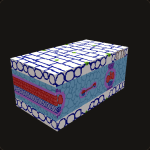 f1f7610e0c3d4688bcb17f91bde2c5ad-icon.png