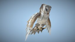 icon.jpg