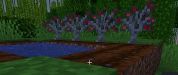 download _1_.jpg