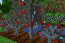 download _2_.jpg